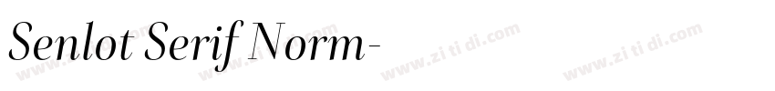 Senlot Serif Norm字体转换